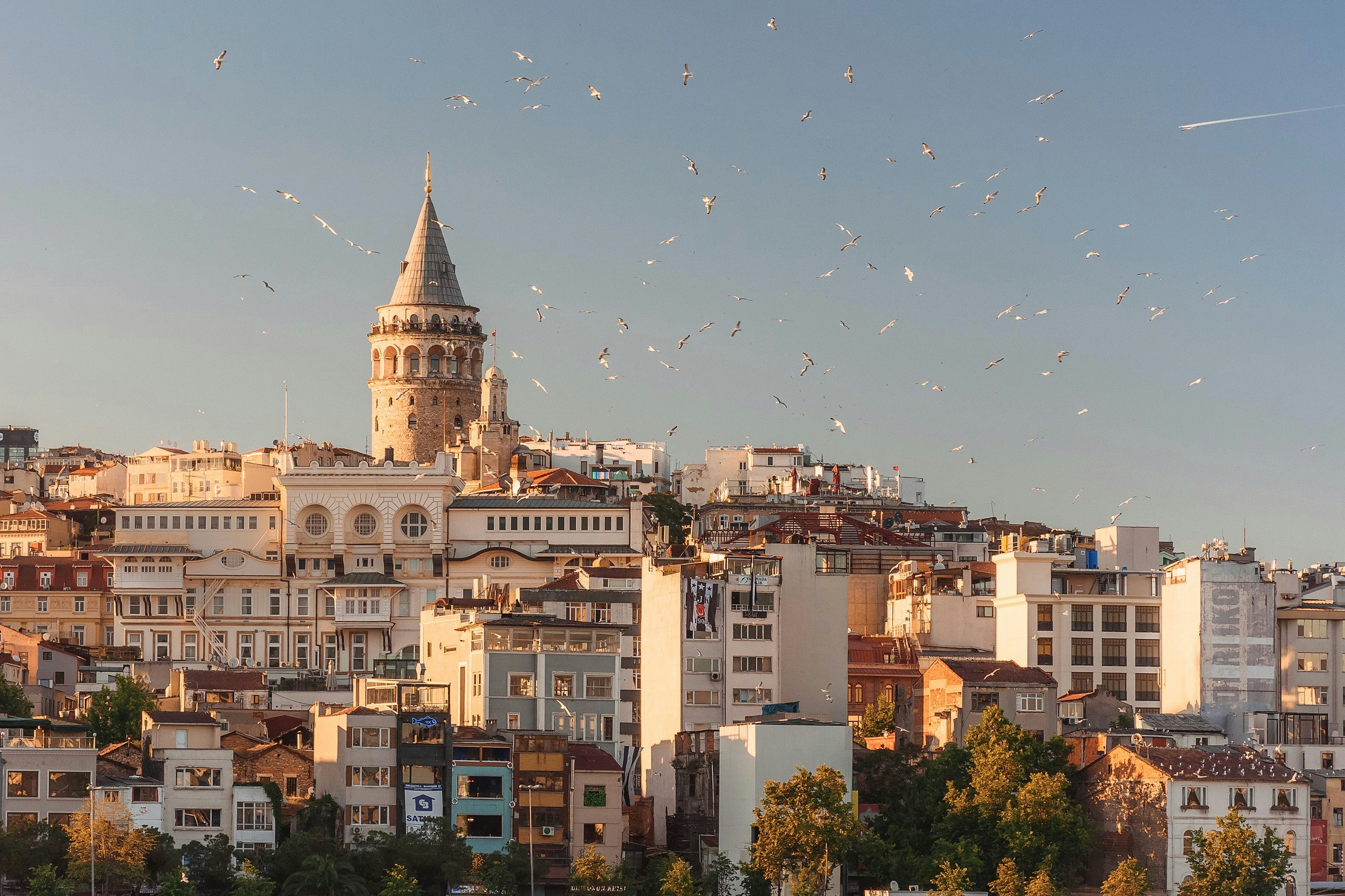 Erbaa İstanbul